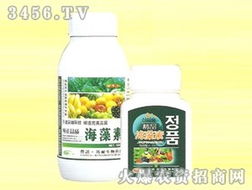 山东诺邦生物安丘有机肥料厂产品代理商张辉拓展安徽市场，共推生物肥料新篇章