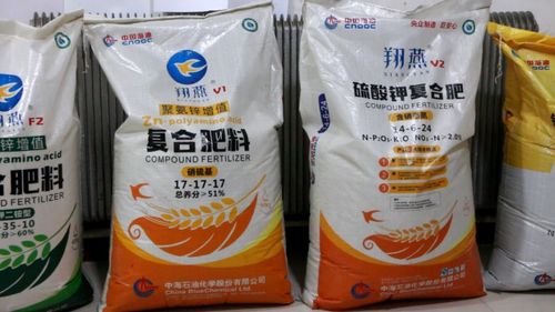 生物肥料与回头客 富岛翔燕驱动东北葡萄产业增值