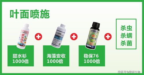 微新生物柑橘公开课 11月份沃柑关键管理要点与生物制剂营养方案