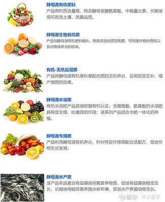 安琪酵母企业经营情况分析 生物肥料板块的潜力与挑战
